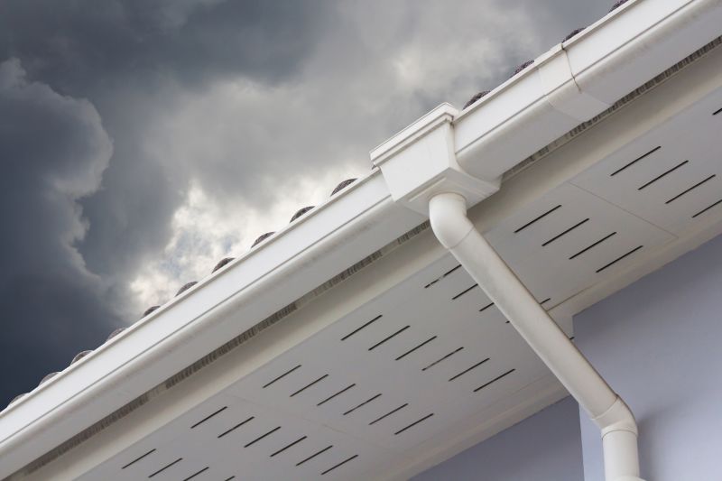 Gutter and Roof System Checks